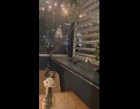 Collab WINY - Rat crawl out from hole outdoor dining