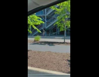 Dancer Holding Black Feathers Poses for Photoshoot 