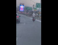 Guy doing wheelies on his scooter on the freeway 
