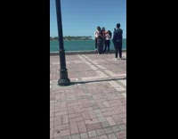 Four girls dance swipe shoulders at bay