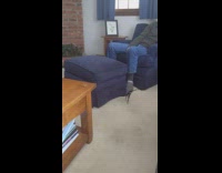 Cat under ottoman catch feather bait slow motion