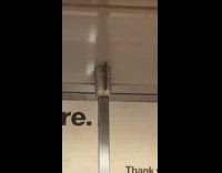 Preying mantis bug insect sticks onto handrail ceiling on subway train