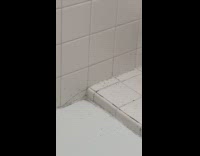 Man shows small insects spread on his bathtub