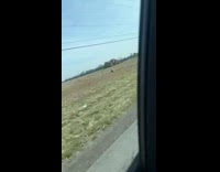 Guy in field sprinting chasing after a runaway lawn mower