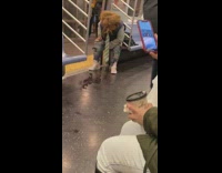 Collab Subway Creatures - Woman squats and pees on the floor on subway train 