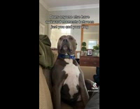 Guy has awkward moment with dog