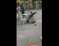 Chubby Rat Crawls Near Family 