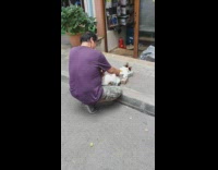 Man brush belly cat lay on bricks sunglasses
