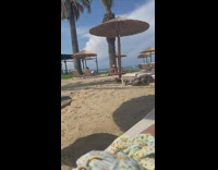 Guy on bed cover face with book beach