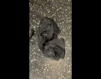 Black underwear on train floor beside shoe