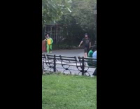 Guys walking through park ninja turtles costumes