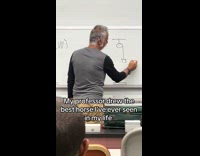 Physics professor draws stick horse 