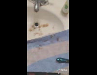 Collab BitchIG2 - Girl buzzcut bathroom sink 