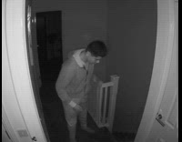 Cat accidentally kicks cat and it jumps to stair 