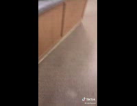 Uber eats worker asks guy for tip