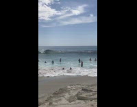 Collab Kook Of The Day - Little girl blue bathing suit gets knocked over by cute wave next to her friend 