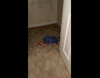 Collab Clips MPUGC - Woman babysat nephew fell asleep inside closet
