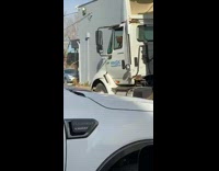 Dog in truck block way of car