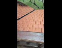 Guy try to feed squirrel gets bitten