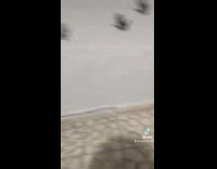 Little girl makes a mess with black ink