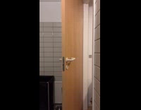Cat jumps to open the locked room