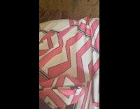 Stomach of filmer sounds weird like pig