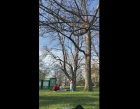 Woman gray sweater crop top tree park