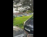 Guy imitating loud car noises in his car