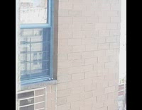 Pigeon bird nest outside blue window 