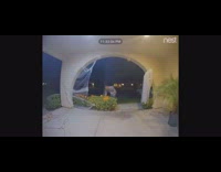 Drunk guy walks home falls in bush