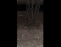 Man dreadlocks hair almost reach subway floor