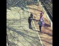 Lady wearing long purple dress poses park