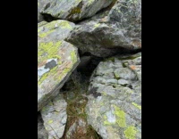 Marmot spotted hides under the huge rocks