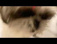 Submitter shows dog keep licking her nose