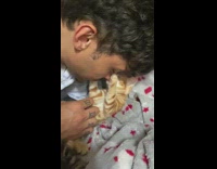 Orange kitten lick nose of guy kiss