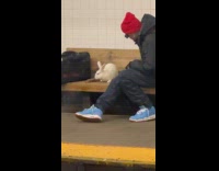 Man with pet rabbit wait for subway