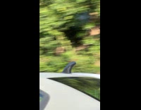 Surfboard pin on top of grey car