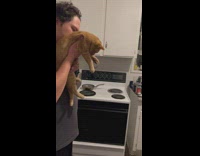 Cat lets go of ring and hands on hook