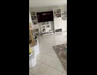 Small dog jumps hits grey balloon up 