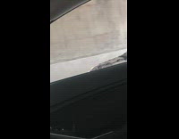 Guy drives car with hood up and back bumper missing 