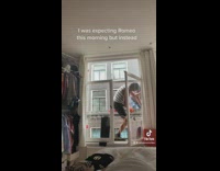 Woman records italian construction workers on her window singing