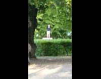 Man in blue jacket weird dance by the tree stub
