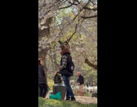 Person wear furry animal costume at park