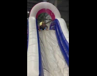 Little boy does scorpion going down slide 