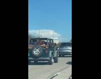 Pet dog sits beside a woman on the back of the truck