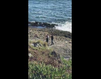Three guys fedora hat dance tiktok beach