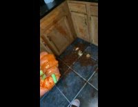 Collab BitchMP - Spaghetti sauce breaks when girl picks up jar