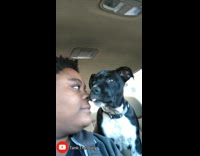 Dog licks girls face in car