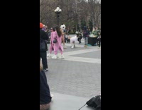 Woman in bikini with panda head has man on leash