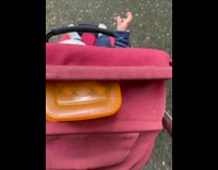 Tiny baby in stroller sticks out hand for chip 